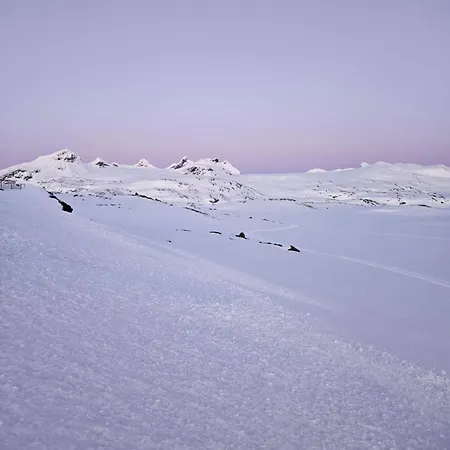 Sognefjellshytta *