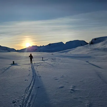 Sognefjellshytta *