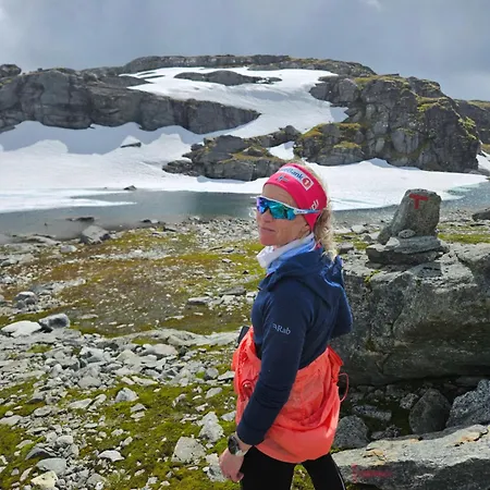 Sognefjellshytta Hotel *