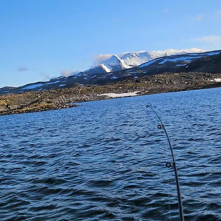 Sognefjellshytta * Lom
