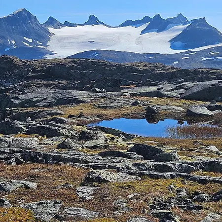 Sognefjellshytta Hotel